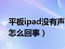 平板ipad没有声音怎么回事（ipad没有声音怎么回事）