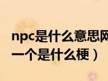 npc是什么意思网络用语（网络用语给我也整一个是什么梗）