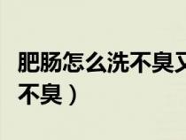 肥肠怎么洗不臭又干净视频教程（肥肠怎么洗不臭）