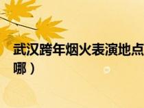 武汉跨年烟火表演地点在哪举行（武汉跨年烟火表演地点在哪）