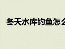 冬天水库钓鱼怎么钓（冬天水库怎样钓鱼）