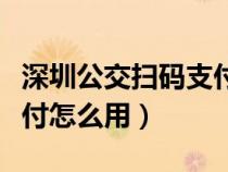 深圳公交扫码支付怎么弄（深圳公交车扫码支付怎么用）