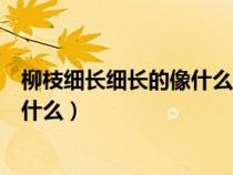 柳枝细长细长的像什么补充后边的句子（柳枝细长细长的像什么）