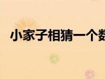 小家子相猜一个数字（小家子相什么意思）