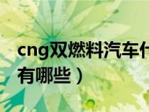 cng双燃料汽车什么意思（原厂cng双燃料车有哪些）