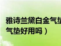 雅诗兰黛白金气垫适合干皮吗（雅诗兰黛白金气垫好用吗）