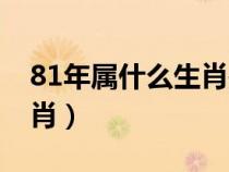 81年属什么生肖是哪年出生（81年属什么生肖）