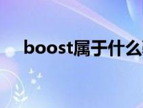 boost属于什么鞋（boost鞋什么意思）