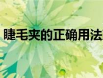 睫毛夹的正确用法塑料（睫毛夹的正确用法）