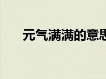 元气满满的意思（元气满满什么意思）