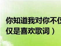 你知道我对你不仅仅是喜欢歌词（我对你不仅仅是喜欢歌词）