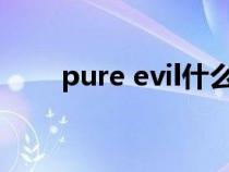 pure evil什么意思（evil什么意思）