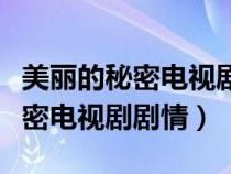 美丽的秘密电视剧剧情介绍大结局（美丽的秘密电视剧剧情）