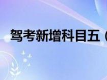 驾考新增科目五（驾照新增科目五是什么）