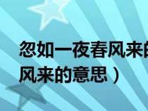 忽如一夜春风来的意思是什么?（忽如一夜春风来的意思）