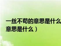 一丝不苟的意思是什么意思不苟的意思是什么（一丝不苟的意思是什么）