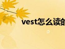 vest怎么读的英文（vest怎么读）