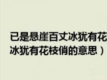 已是悬崖百丈冰犹有花枝俏的意思赞美中国（已是悬崖百丈冰犹有花枝俏的意思）