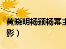 黄晓明杨颖杨幂主演的电影（黄晓明演过的电影）