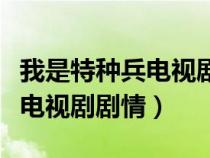 我是特种兵电视剧剧情介绍分集（我是特种兵电视剧剧情）