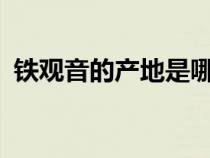 铁观音的产地是哪里?（铁观音的产地在哪）