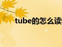 tube的怎么读音（tube到底怎么读）