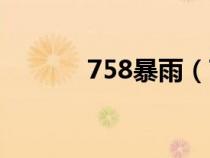 758暴雨（758暴雨事件科普）