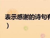 表示感谢的诗句有哪些（盘点表示感谢的诗句）