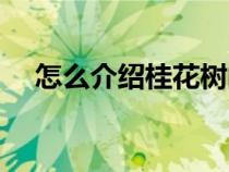 怎么介绍桂花树的特点（桂花树的特点）