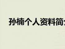 孙楠个人资料简介 年龄（孙楠个人资料）