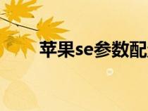 苹果se参数配置（苹果6s配置参数）