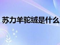 苏力羊驼绒是什么面料（羊驼绒是什么面料）