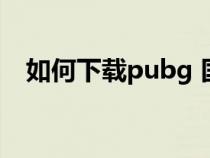 如何下载pubg 国际服（如何下载pubg）