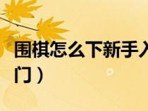 围棋怎么下新手入门规则（围棋怎么下新手入门）