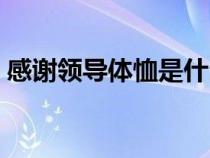 感谢领导体恤是什么意思（体恤是什么意思）