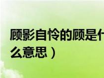 顾影自怜的顾是什么意思（三顾茅庐的顾是什么意思）