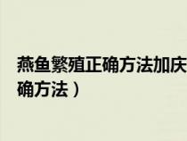 燕鱼繁殖正确方法加庆大好还是盐好请问大师（燕鱼繁殖正确方法）