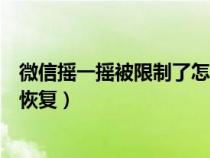 微信摇一摇被限制了怎么办（微信摇一摇被限制了怎么才能恢复）