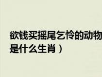 欲钱买摇尾乞怜的动物是什么生肖（欲钱买摇头摆尾的动物是什么生肖）