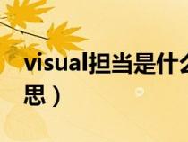 visual担当是什么意思（vocal担当是什么意思）