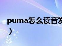 puma怎么读音发音英语（英语puma怎么读）