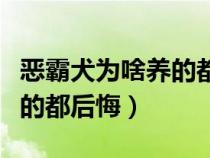 恶霸犬为啥养的都后悔斗牛犬（恶霸犬为啥养的都后悔）