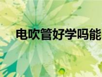 电吹管好学吗能自学吗（电吹管好学吗）