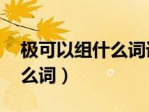 极可以组什么词语 二年级上册（极可以组什么词）