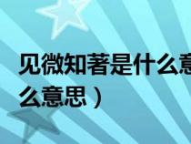 见微知著是什么意思解释一下（见微知著是什么意思）