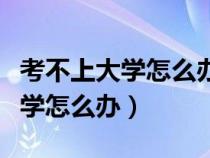 考不上大学怎么办可以上什么学校（考不上大学怎么办）