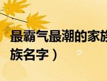 最霸气最潮的家族名字格式（最霸气最潮的家族名字）