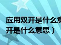 应用双开是什么意思是不是要两个号（应用双开是什么意思）