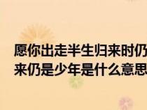 愿你出走半生归来时仍是少年是什么意思（愿你出走半生归来仍是少年是什么意思）