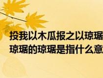 投我以木瓜报之以琼琚匪报也永以为好（投我以木瓜报之以琼琚的琼琚是指什么意思）